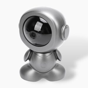 PTZ Camera