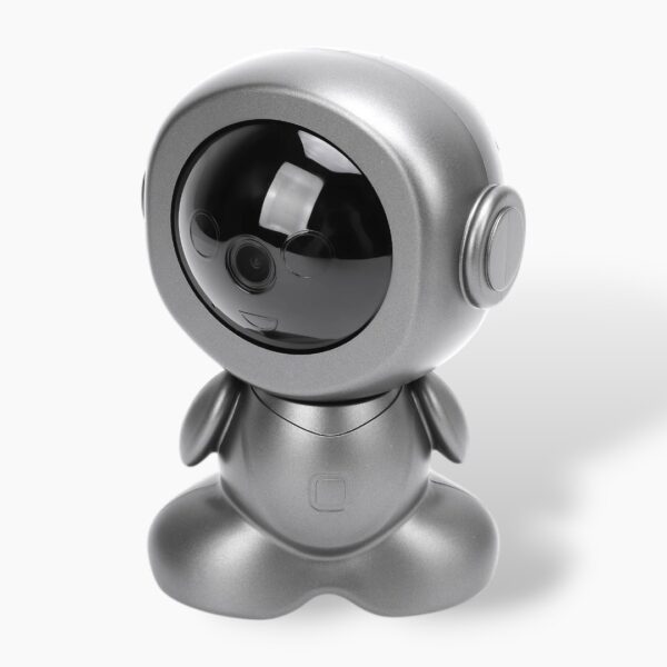 PTZ Camera